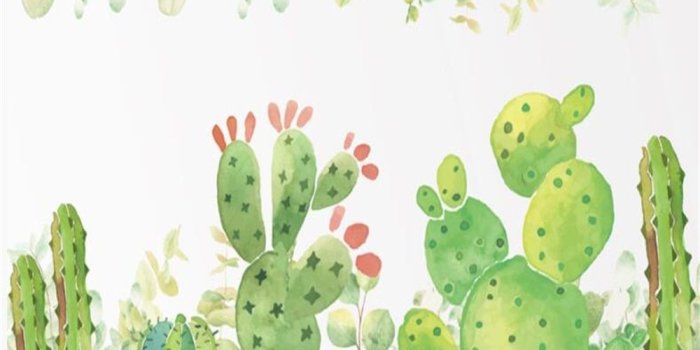 1000x800 US $9.0 40% OFF|Custom children's room interior wallpaper for walls 3d  watercolor cactus living room background hand painted wallpaper  Beibehang-in