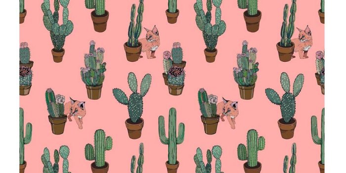 1000x1207 PRE ORDER - CACTUS AND CATS PEACH WALLPAPER