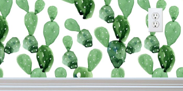 1274x1016 Self-adhesive Removable Wallpaper, Cactus Wallpaper, Peel and Stick Fabric  Wallpaper, Custom Design Wall paper
