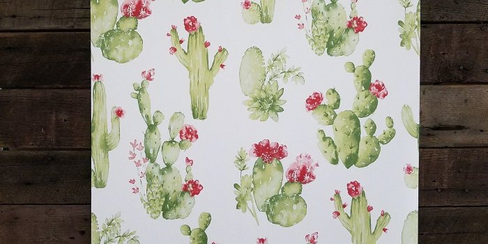 1400x1400 Watercolor Botanical Cactus Wallpaper