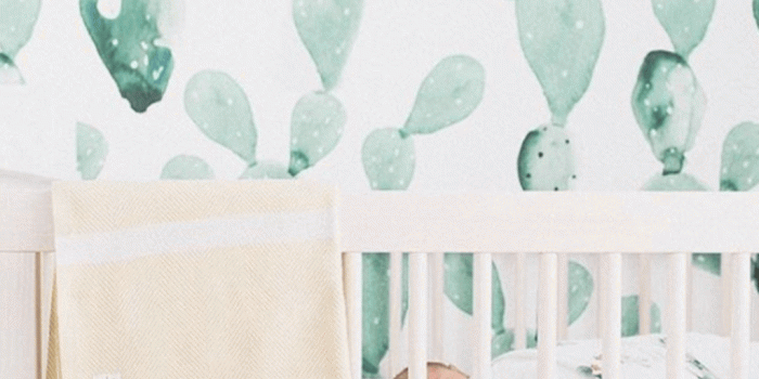 1024x1024 Vintage Cactus Wallpaper (Self-Adhesive)