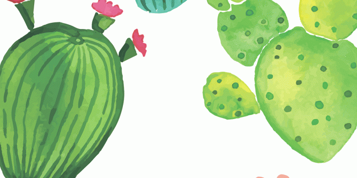 1150x2048 Cute Cactus Wallpapers