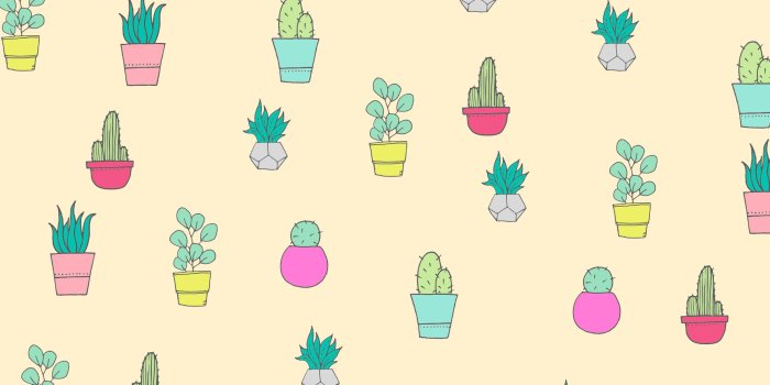2400x1600 FREE CACTUS AND SUCCULENT WALLPAPERS FOR YOUR DESKTOP, TABLET AND