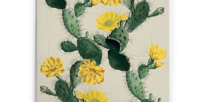 1200x1716 Cactus Wallpaper in Yellow Day from the Kingdom Home Collection by