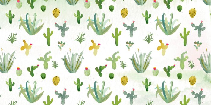 1856x1161 Cactus Wallpaper 8 - 1856 X 1161
