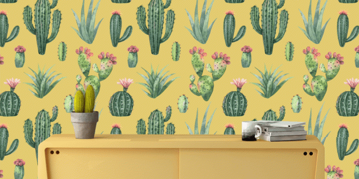 1024x1024 Cactus Golden Era Wallpaper (m²)