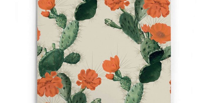 1200x1716 Cactus Wallpaper in Red Day from the Kingdom Home Collection by