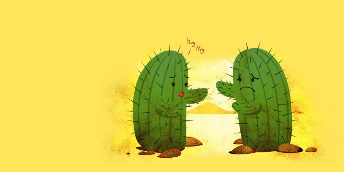 1600x900 Cactus wallpaper | 1600x900 | #1092