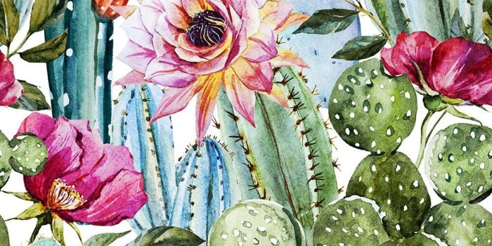 1000x1000 Watercolor cactus pattern Wall Mural Wallpaper