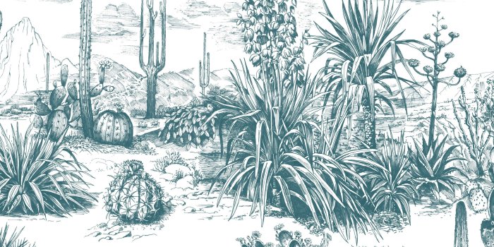 3000x3000 Fresco Arizona Teal Cacti Wallpaper | Departments | DIY at B&Q
