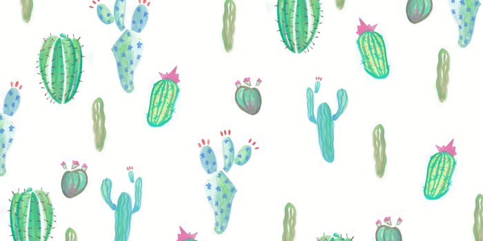 2000x1200 Cactus Wallpapers #9C258R7 | WallpapersExpert.com