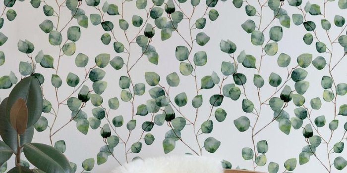 794x1108 Removable Wallpaper Cactus Wallpaper Eucalyptus Peel and Stick Fabric  Wallpaper Temporary Wallpaper Custom Design Wall Mural Wallpaper -A126