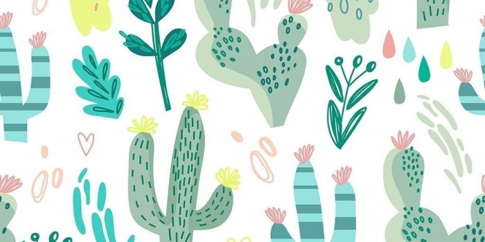1024x1024 Cactus ((wallpaper, Verde)