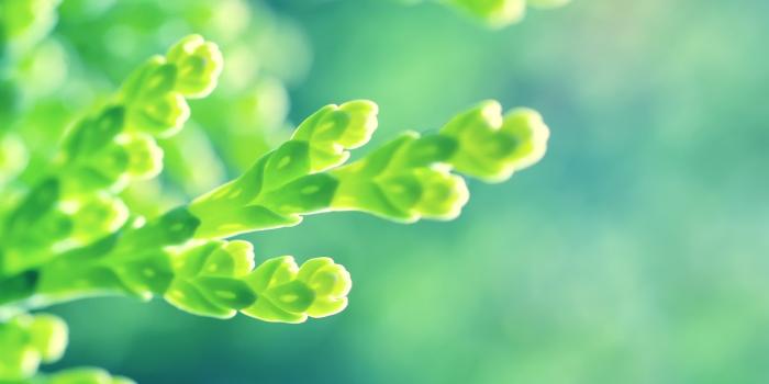 1600x900 health-wallpaper-hd-wallpapers-on-picsfair-com-fgngsgn — Ancient