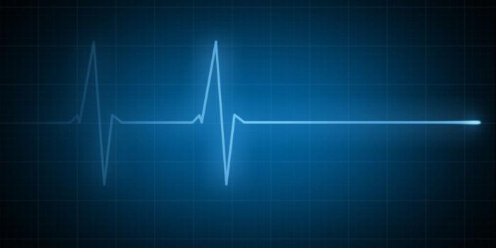 1521x869 Health Wallpaper (80+ images in Collection) Page 1