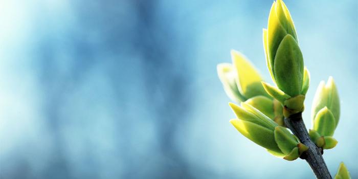 1280x800 Free Download HD Wallpaper For Your Cool Desktop ~ Facts N' Frames