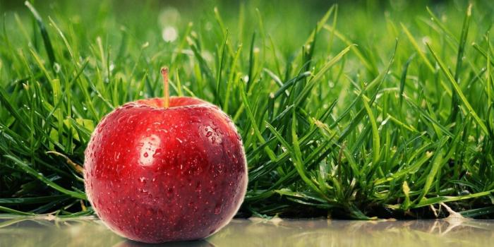 1600x1200 Best 56+ Health Wallpaper on HipWallpaper | Health Wallpaper, Health