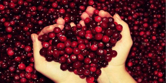 2564x1604 A few great Health Wallpapers - Michael Stein