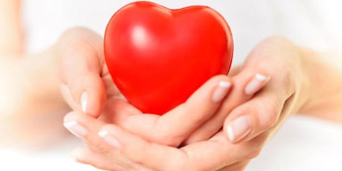 1024x819 40+ Healthy Wallpapers - Download at WallpaperBro