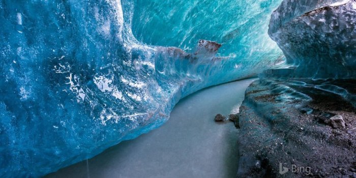 1366x853 Just in time for the Holidays! Get the official Bing in Winter