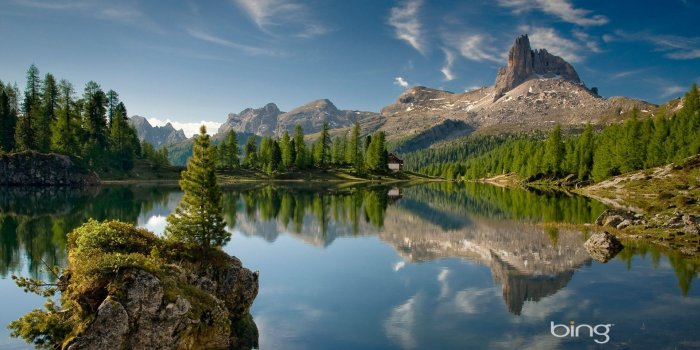 1920x1200 Bing Images – download in digitalimagemakerworld.com chargeless