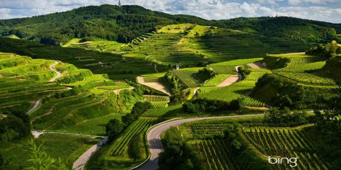 1920x1200 Best of Bing Wallpaper (76+ images)