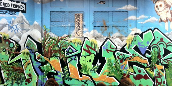 2592x1936 Download the Forest Graffiti Wallpaper, Forest Graffiti iPhone