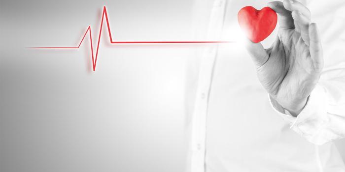 1920x1080 Health Wallpapers - Top Free Health Backgrounds - WallpaperAccess