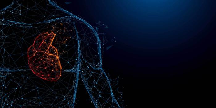 1920x1080 The Massive Project That's Building a 'Google Earth for Human Health'