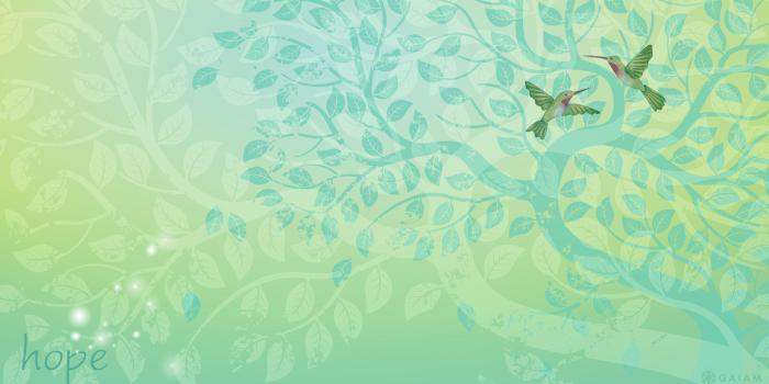 2560x1400 Health Wallpapers