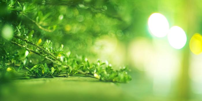 1680x1050 Best 48+ Healing Wallpapers on HipWallpaper | Peaceful Healing