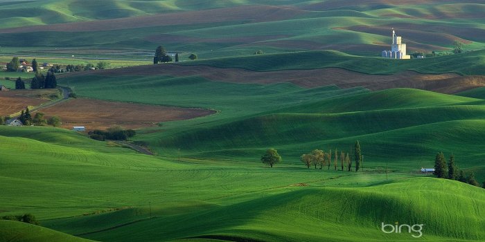 1600x1000 Bing bing wallpaper 22553 - Desktop Wallpapers - System wallpaper