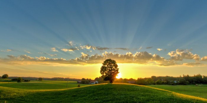 1366x768 50+] Bing Wallpaper Archive on WallpaperSafari