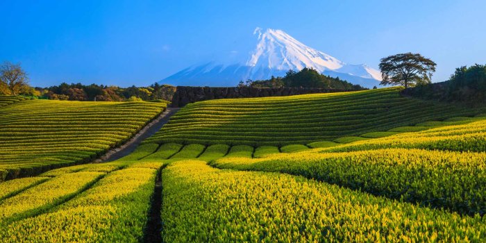 1920x1080 Ultra HD 4K Computer Background Bing April Wally (75) UHD Desktop