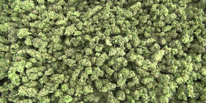 1920x1080 Weedmarijuana, Download, Nature Wallpaper Full HD, Drugs,landscape