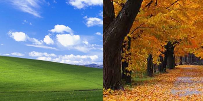 1185x670 $100,000 Vs. $45: The Differences Paid to the Photographers Behind