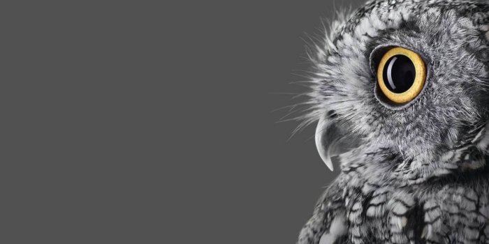 1200x800 You Can Download The Official Microsoft Surface Studio Wallpaper