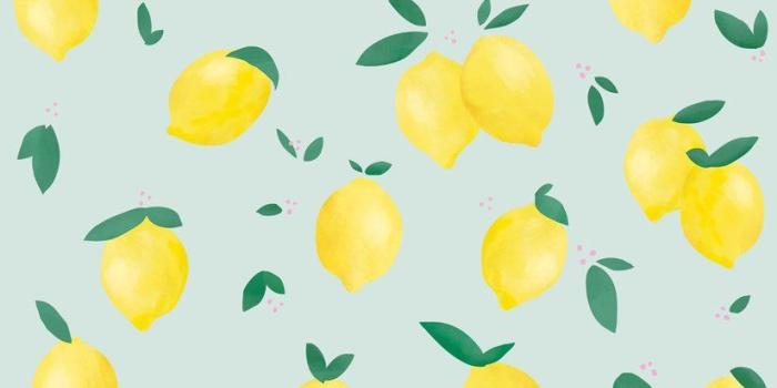 824x1024 Fresh removable Lemon Wallpaper for happy homes – Made of Sundays