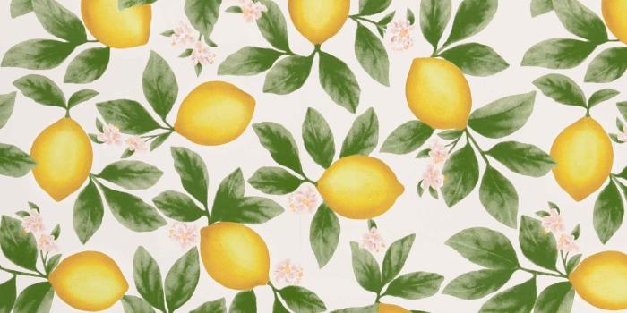 1995x2593 Lemon Wallpaper