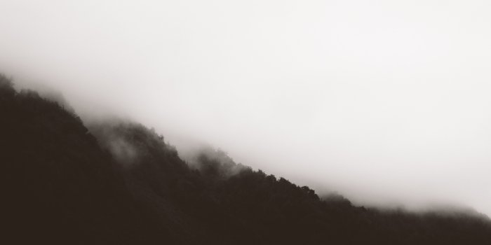 4000x3000 5391386 4000x3000 #white, #wallpaper, #Free pictures, #trees