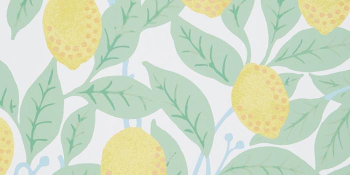 1450x2175 Lemons Wallpaper