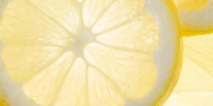 1080x1920 Fresh Cool Lemon Slice Overlap Background iPhone 6 wallpaper | For