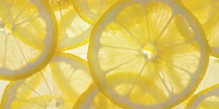 1920x1200 Lemon Wallpaper 11 - 4288 X 2848