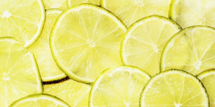 1920x1079 25+ Lovely Lemon Tree Wallpapers for Free Download
