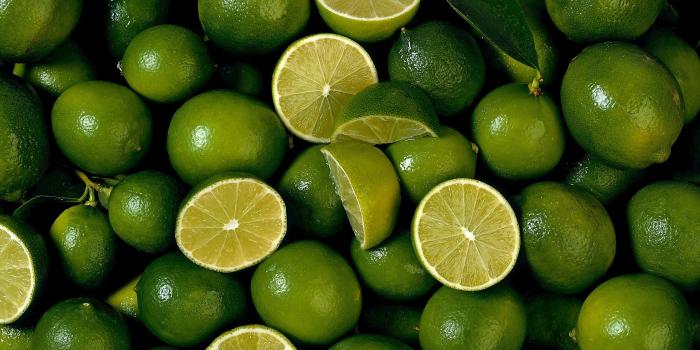 2560x1600 59+ Lime Wallpapers on WallpaperPlay