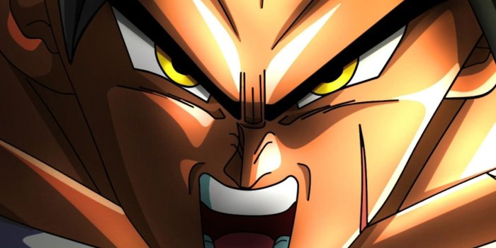 1242x2688 1242x2688 Broly Dragon Ball Iphone XS MAX HD 4k Wallpapers, Images