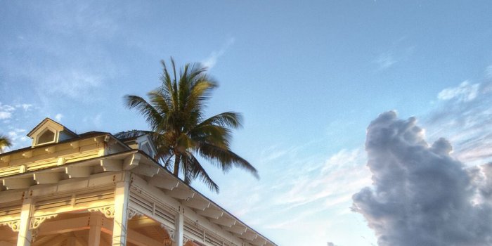 1080x1920 1080x1920 palm trees, bahamas, nassau, sea, bahamas, bahamas desktop