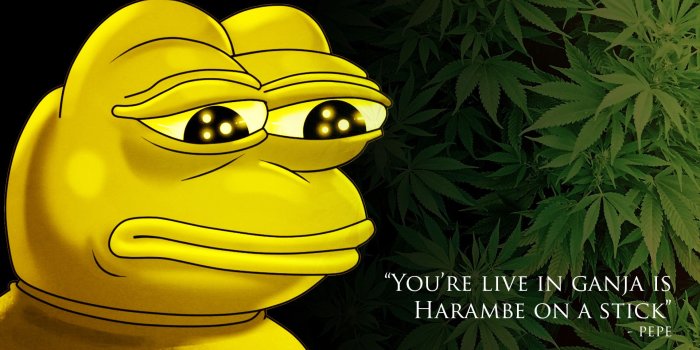 1920x1080 78+ Pepe Meme Wallpapers on WallpaperPlay
