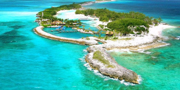 1332x850 Wallpaper palm trees, the ocean, island, Bahamas, Nassau, blue