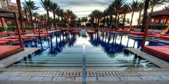 1332x850 Wallpaper palm trees, pool, bahamas, nassau, Nassau, atlantis